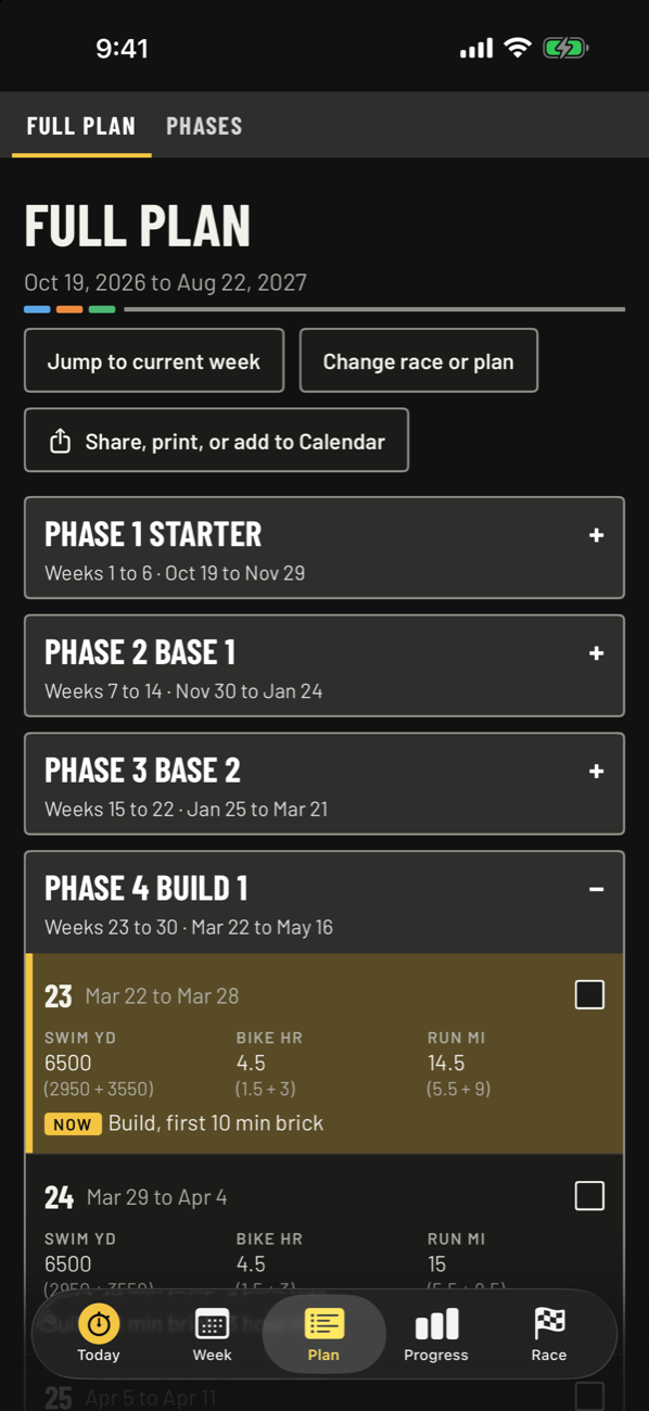 Full plan grouped into phases, with the current week highlighted